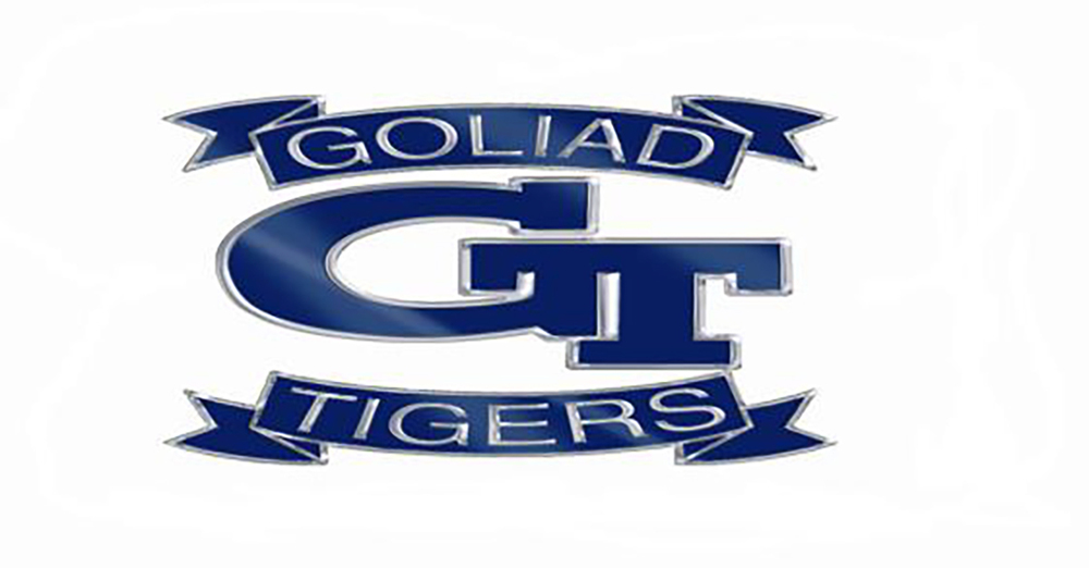 GT logo image