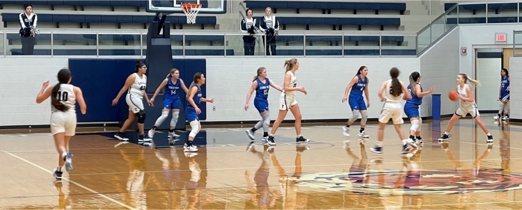 basketball photo