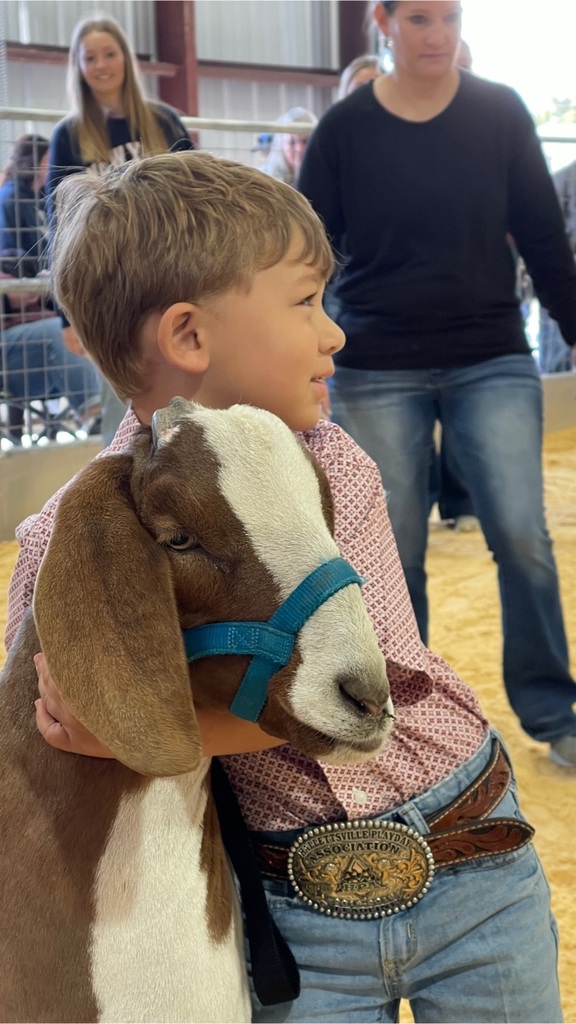 photo from stock show