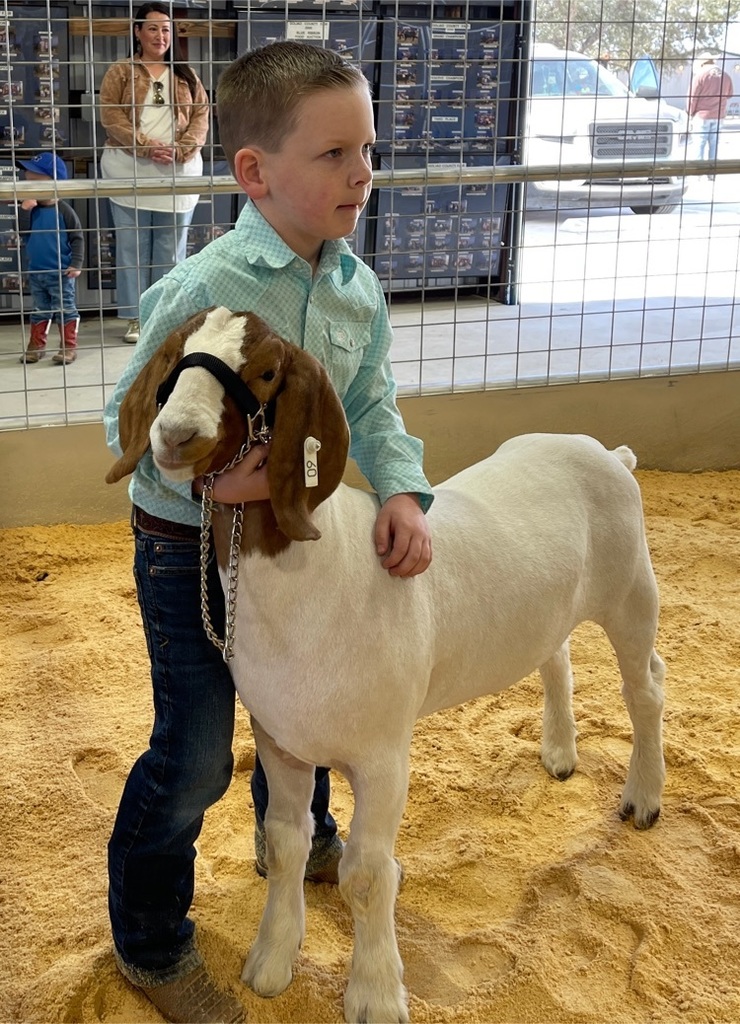 photo of student at stock show