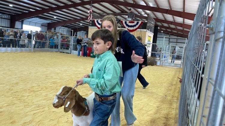 photo of student at stock show